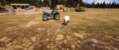 15811742406680.mp4