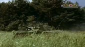 17.webm