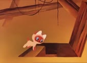 cat on the stairs.webm