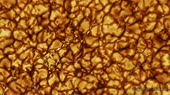 a6a75aab6b3c.720.mp4