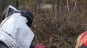 abvgat.webm