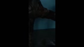 14780044766680.webm