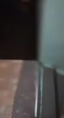 c9f51fd41e6b.240.mp4