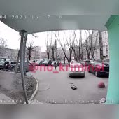 15868542080630.mp4