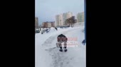 лох пивной.mp4