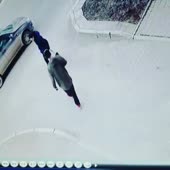 15868529030020.mp4