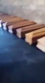 гробы в Бергамо.mp4