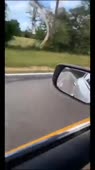 15740751958040.webm