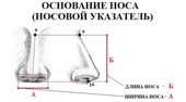 2.webm