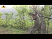 15468565771162.webm