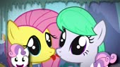 14652051119840.webm