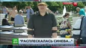 Расплескалась синева...mp4