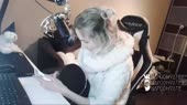 55.webm