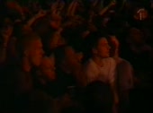 1587825305140.webm
