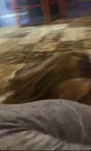 15870289892740.webm
