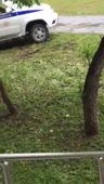 15594598074080.mp4