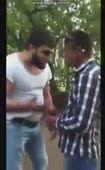 15282952571550.webm