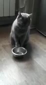 15338626160840.mp4