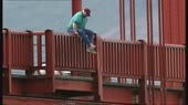 15678517399030.webm