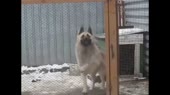 15304926267670.webm