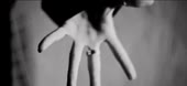 15690889773930.mp4