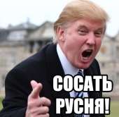 1587834120892.png