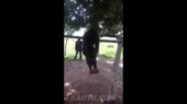 1587834251324.mp4