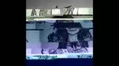 1587836284695.webm