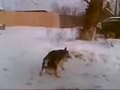цавафы.mp4