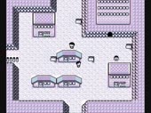 1587838503563.webm
