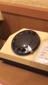 15691954432450.webm