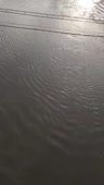 15720372917210.mp4