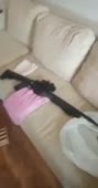 15696058770950.mp4