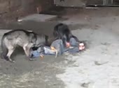 15727836574190.webm
