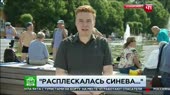 Расплескалась синева...mp4