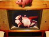 15877245346320.mp4