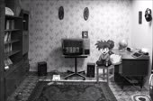 15818011311010.webm