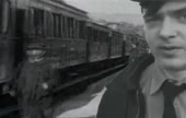 15560992151801.webm