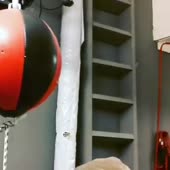 1587212836236.webm