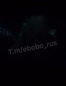 15737623977620.mp4