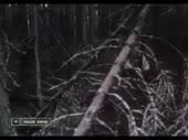 третья планета.mp4