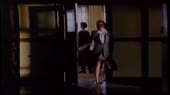 15806363669440.mp4