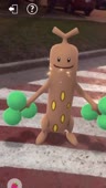 дерево pokemon go.mp4