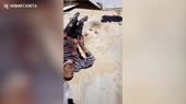 Дикая русня.mp4