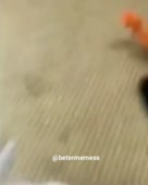 7770122225403262060620022784863799940897757n.mp4