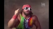 15266594011393.webm