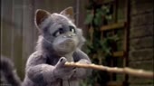 webm.mp4