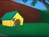 t.mp4