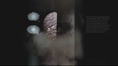 48eef6efd8eba0c3aaa73d120ceff1e3.webm