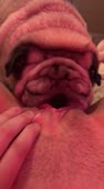 BitchDoggedTwo.mp4